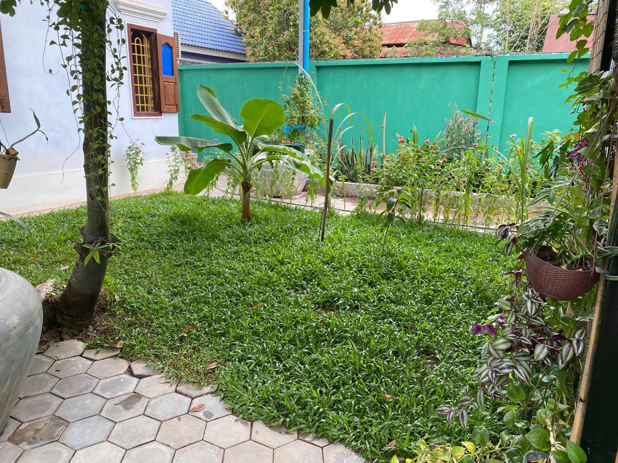 Bloom Garden Bed & Breakfast 暹粒 外观 照片