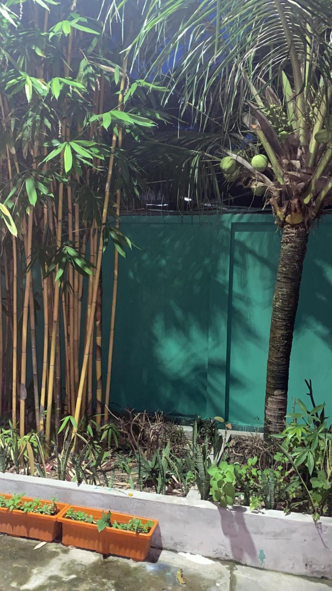 Bloom Garden Bed & Breakfast 暹粒 外观 照片