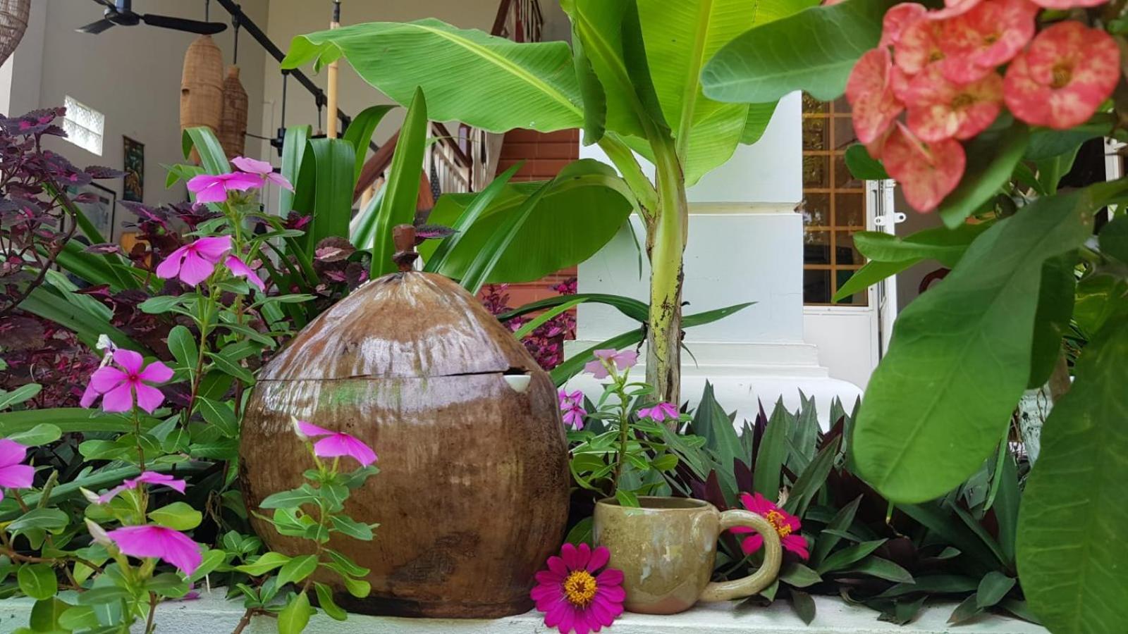 Bloom Garden Bed & Breakfast 暹粒 外观 照片